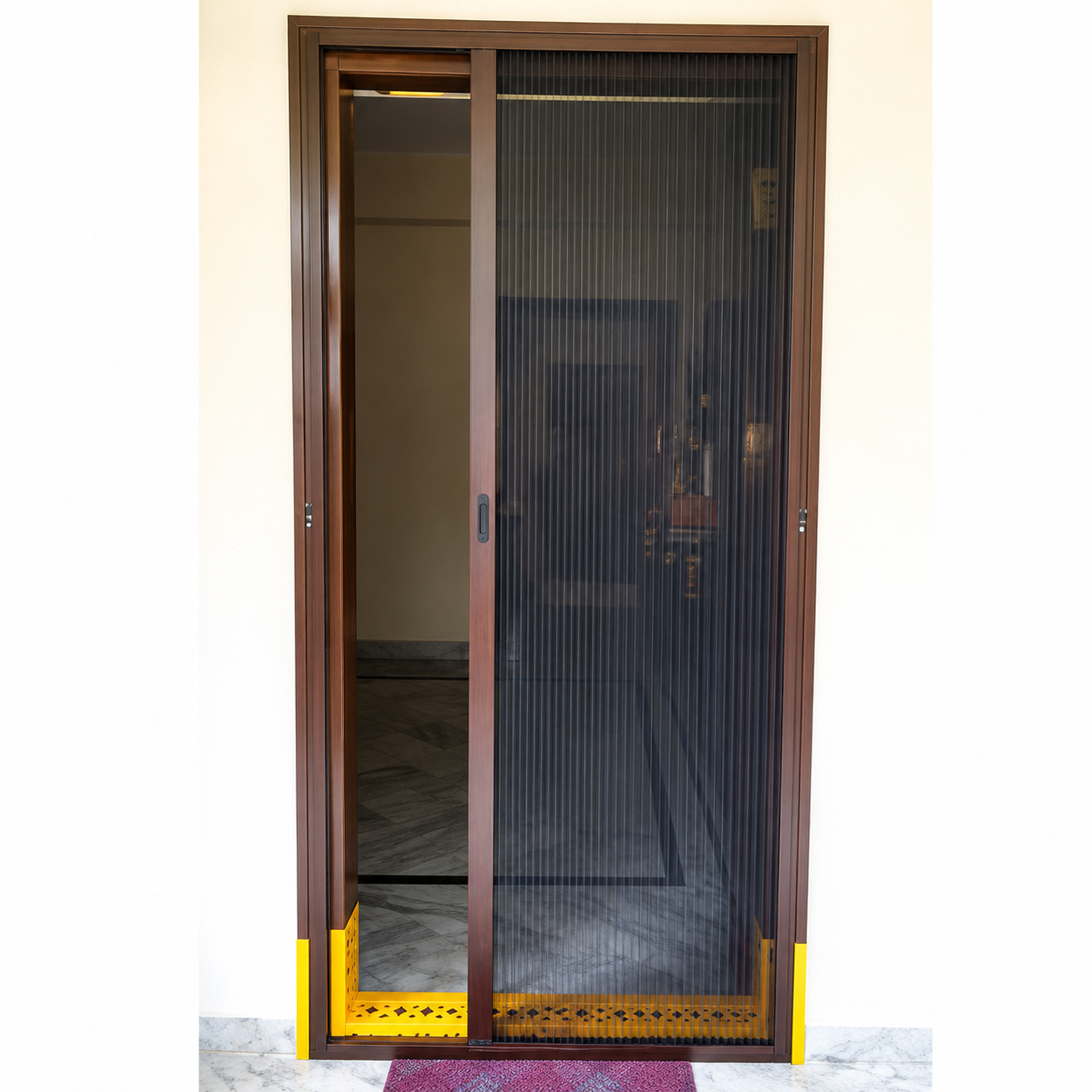 Mosquito Net Door